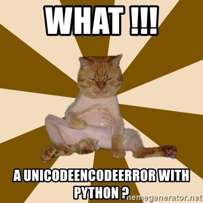 lolcat