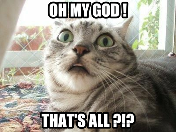 lolcat