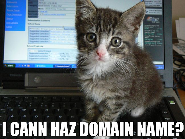 lolcat