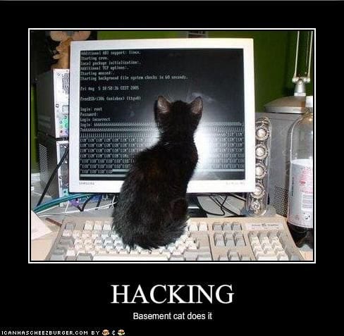 lolcat