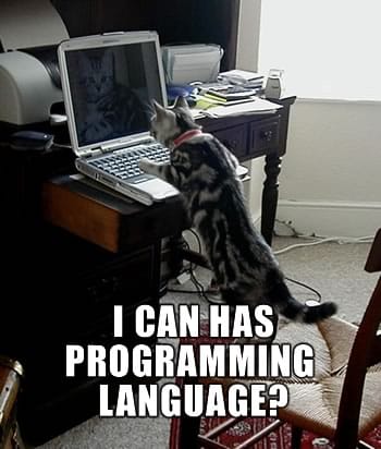 lolcat